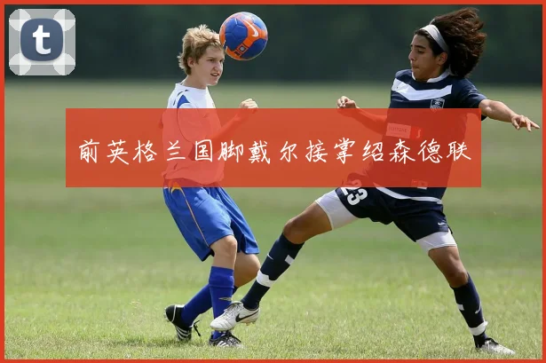 前英格兰国脚戴尔接掌绍森德联